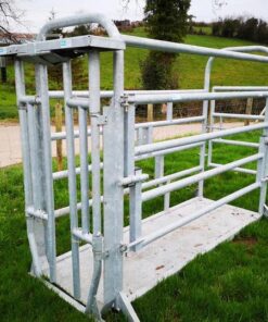 Caesarean & Suckling Crush