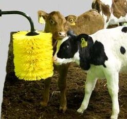 EasySwing Mini Brush