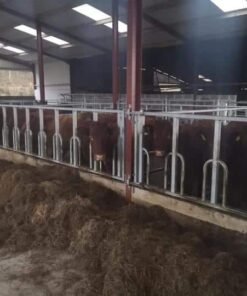 Tombstone Feed Barrier